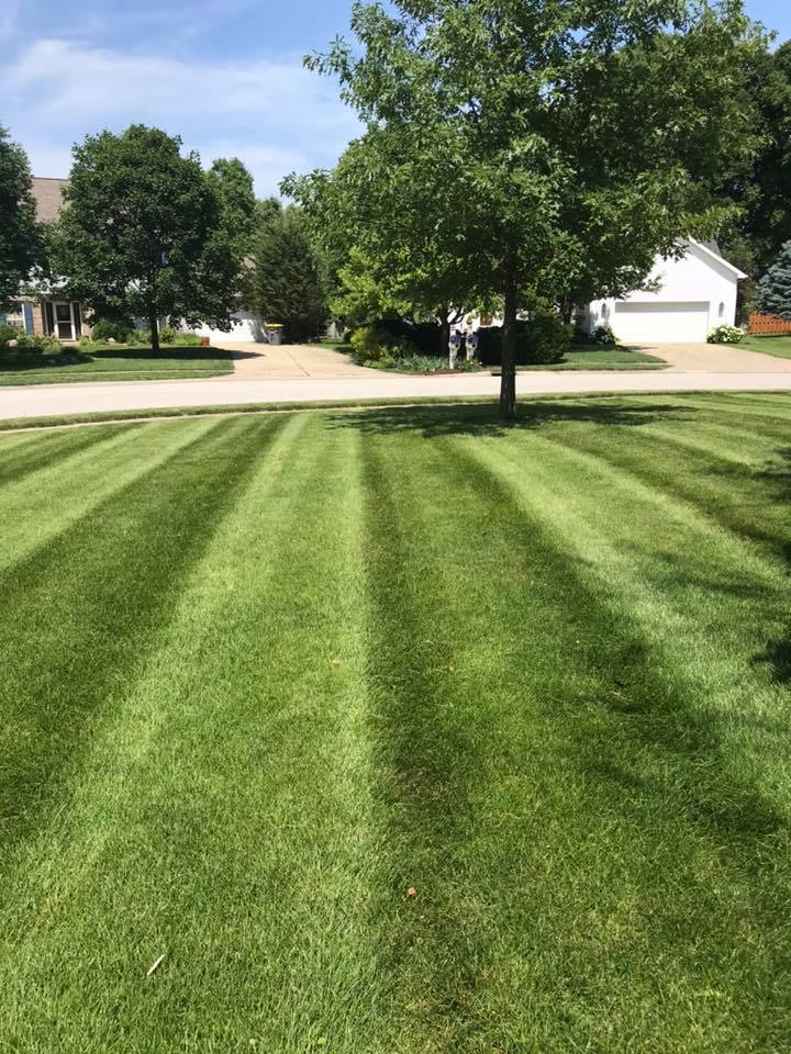 Anderson Wright Landscaping