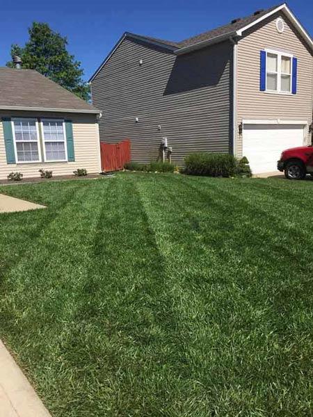 Anderson Wright Landscaping