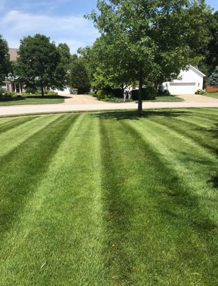 Anderson Wright Landscaping